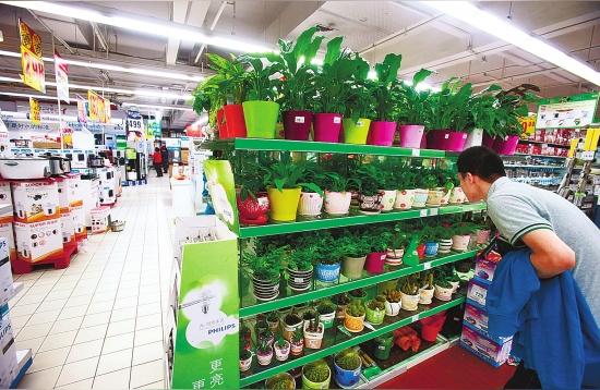 贺州花鸟鱼虫市场:花鸟鱼虫市场春节营业吗 观赏鱼水族批发市场