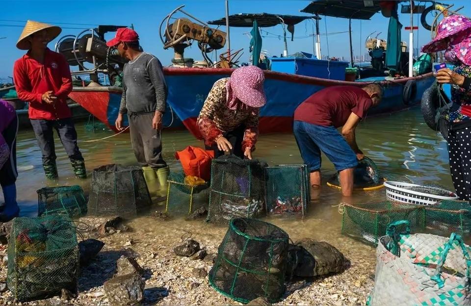 厦门花鸟鱼虫市场:厦门海沧哪里有宠物市场 观赏鱼水族批发市场