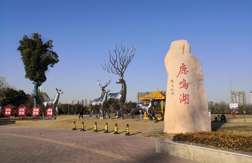 许昌花鸟鱼虫市场:许昌哪里有卖盆栽的 观赏鱼水族批发市场