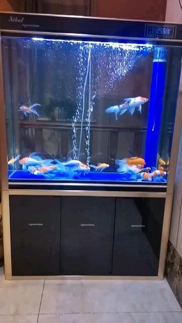 森森鱼缸工艺怎么样:森森水族箱怎么样 鱼缸/水族箱