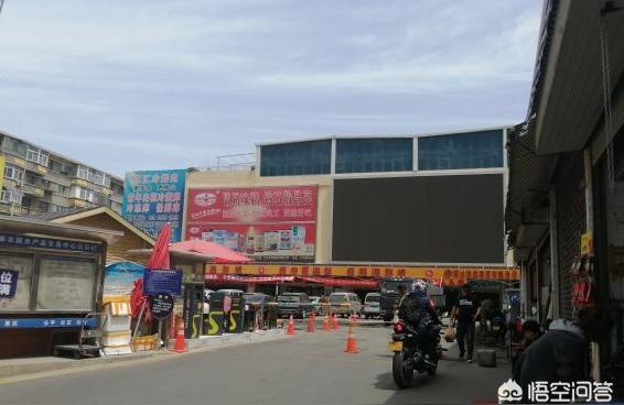 兰州观赏鱼批发:水晶虾兰州雁滩花鸟鱼市场有卖吗 观赏鱼批发