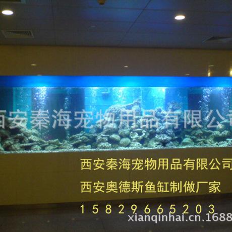 揭阳鱼缸批发市场:汕头那里有大型的水族批发市场