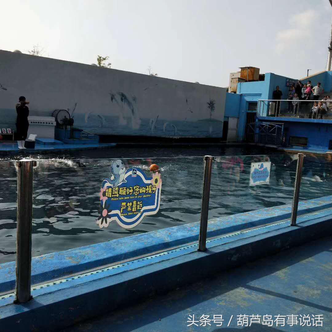 秦皇岛哪里有水族馆（店）:秦皇岛贝壳王国好玩吗 观赏鱼水族批发市场