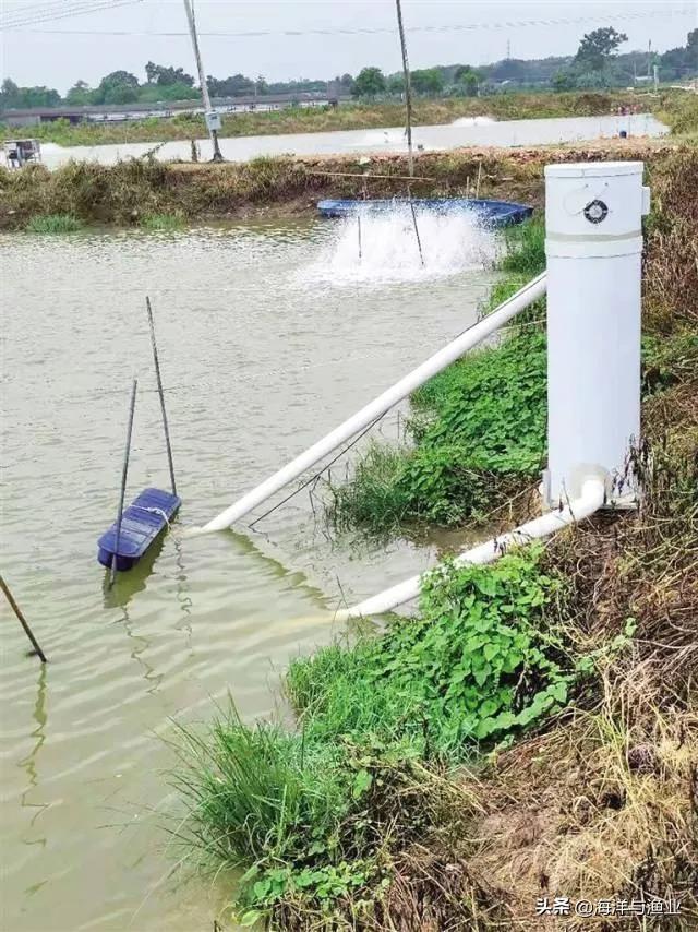 佛山鱼池水泵设备 广州水族器材滤材批发市场