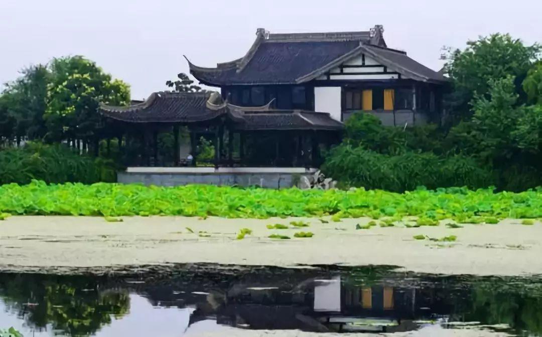 无锡鱼池水泵设备 广州水族器材滤材批发市场