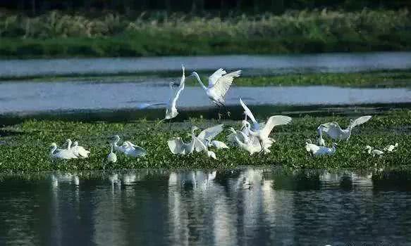 阳江鱼池水泵设备