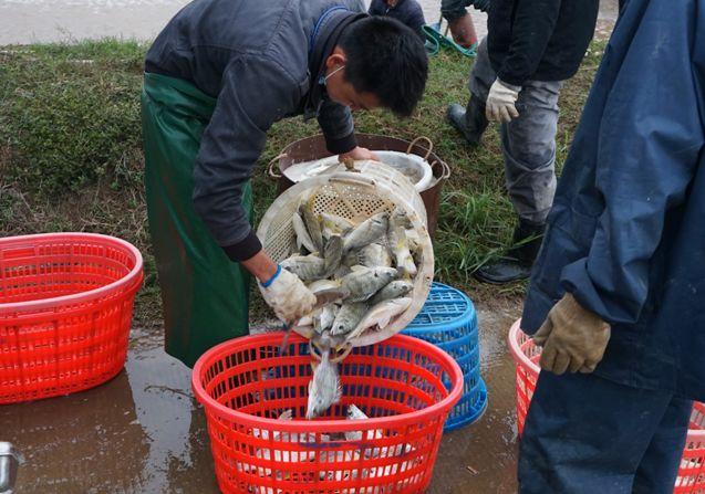 珠海鱼池水泵设备 广州水族器材滤材批发市场 第1张