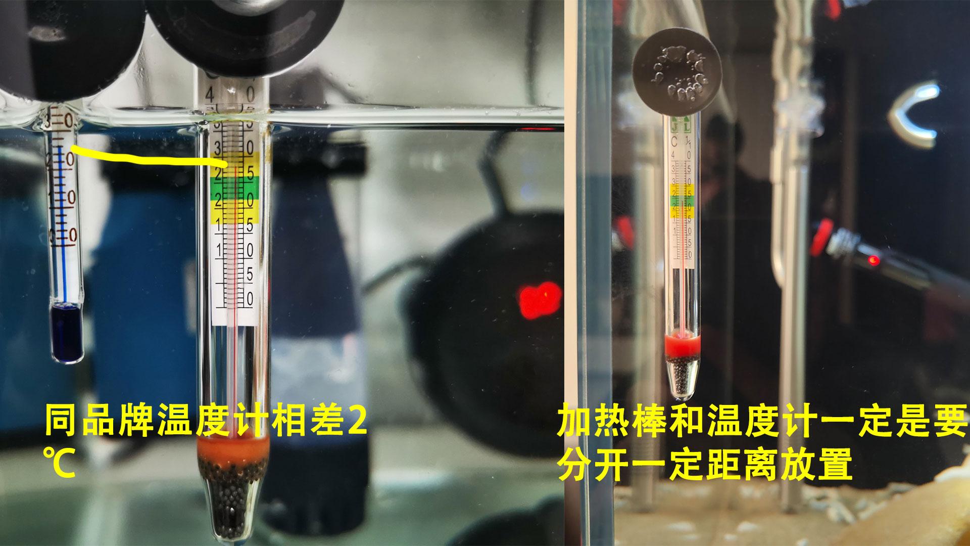 鱼缸加热棒使用方法【鱼缸加热棒跳闸怎么解决】 龙鱼批发