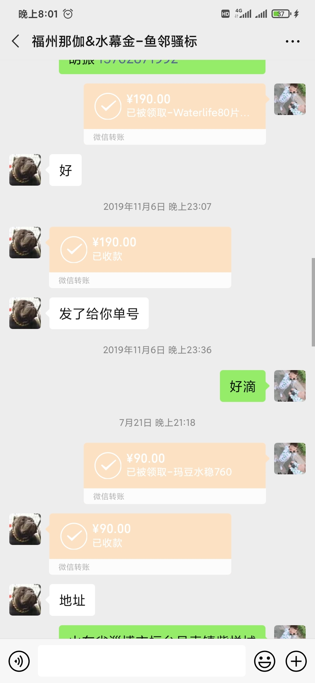 鱼邻阿标我向你道歉 帝王迷宫鱼 第7张