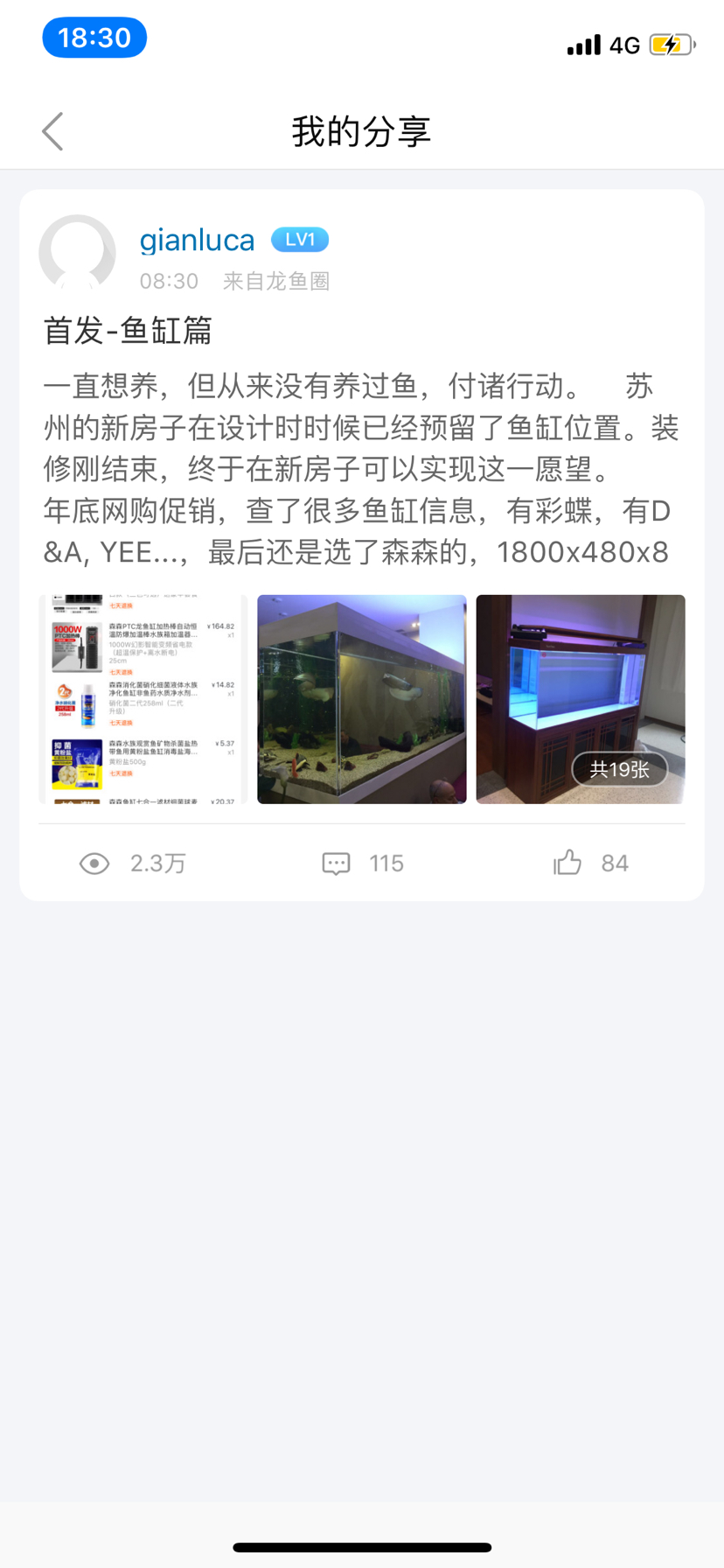 新手解惑龙鱼缸品牌和尺寸 观赏鱼 第1张