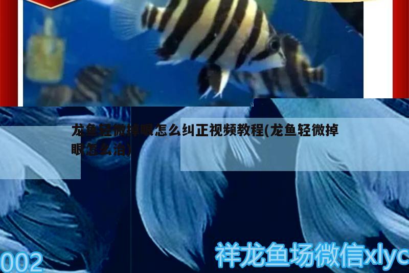 清水县惠芳鱼具水族店 全国水族馆企业名录 第2张