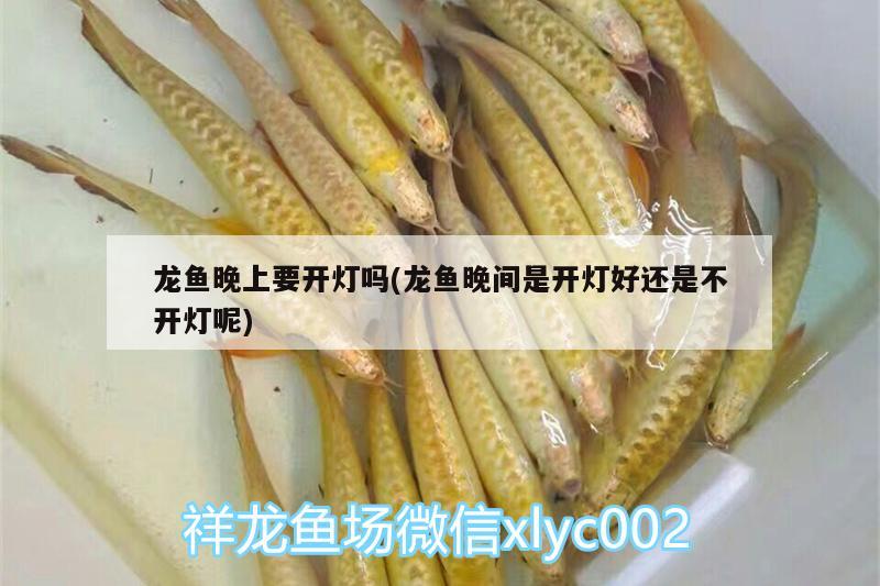 清水县惠芳鱼具水族店 全国水族馆企业名录 第1张