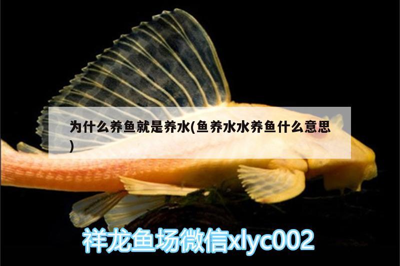 水世界鱼缸代理（我是湖南长沙县的，想买一个森森牌水族箱，） 海水鱼（海水鱼批发） 第2张