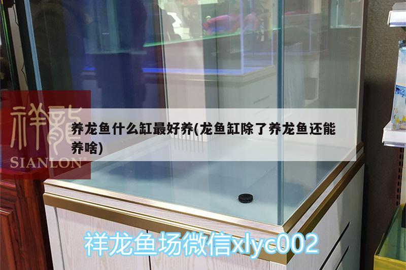 吧台吊灯,收银台吊灯,哪种好有没有LED光源的介绍，大连南国大家装有家具