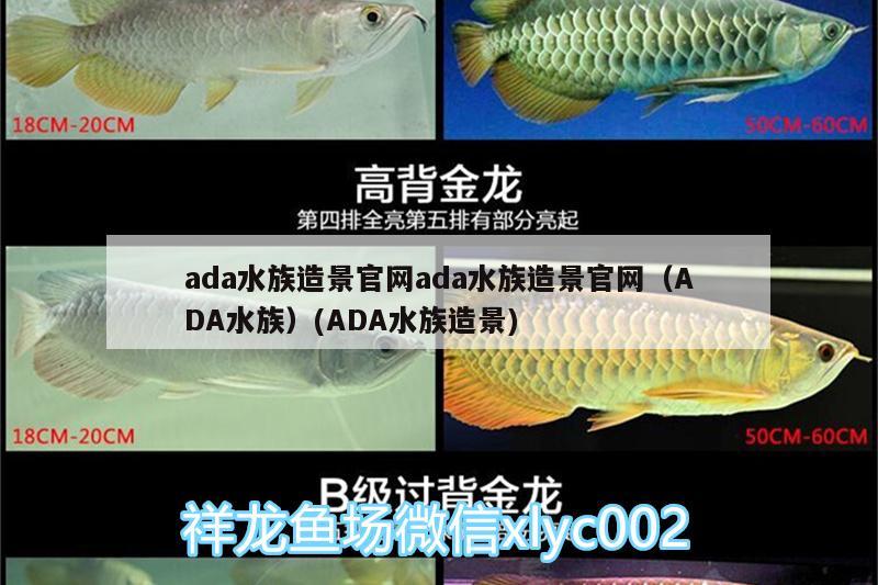 扬州鱼缸定制厂家有哪些地方电话(扬州水族鱼缸厂) 其他益生菌 第2张