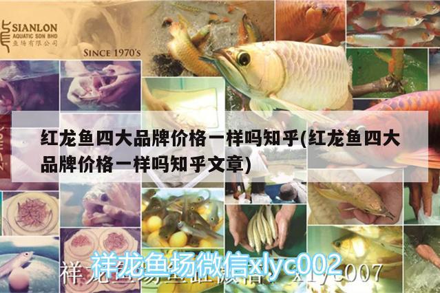 济南市天桥区福海水族店 全国水族馆企业名录 第2张