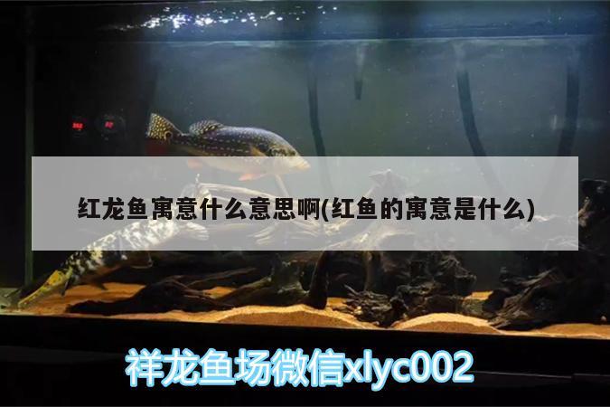 客厅鱼缸摆放风水位置有哪些事项是要注意的，将鱼缸摆放在办公室什么方位