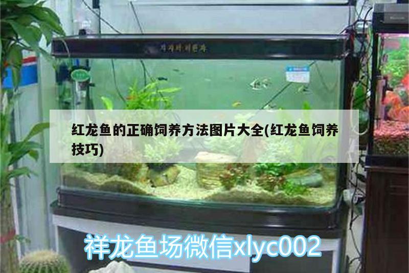 信丰县李民观赏鱼店 全国水族馆企业名录 第2张