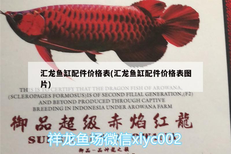 汇龙鱼缸配件价格表(汇龙鱼缸配件价格表图片) 广州水族器材滤材批发市场