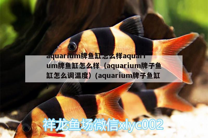 aquarium牌鱼缸怎么样aquarium牌鱼缸怎么样（aquarium牌子鱼缸怎么调温度）(aquarium牌子鱼缸) 热带鱼鱼苗批发