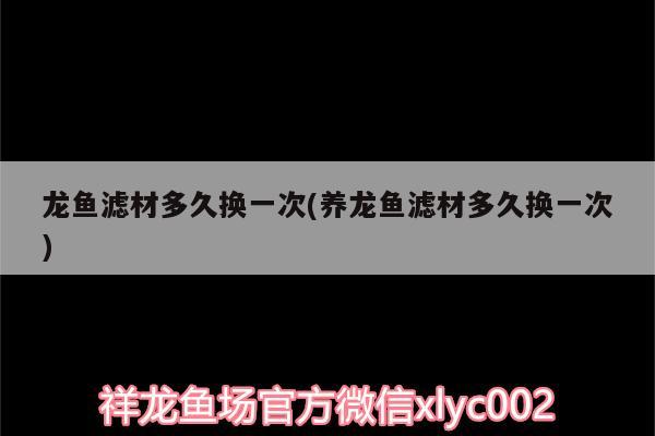 龙鱼滤材多久换一次(养龙鱼滤材多久换一次) 白子银版鱼苗