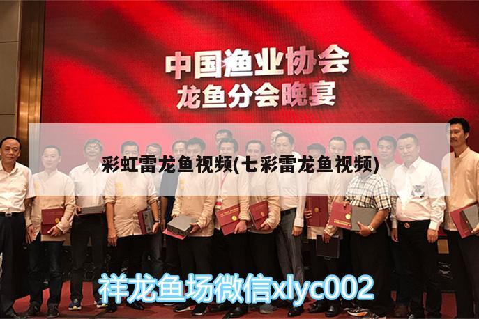 银龙鱼繁殖需要什么条件（金龙鱼和银龙鱼可以繁殖么） 银龙鱼 第3张