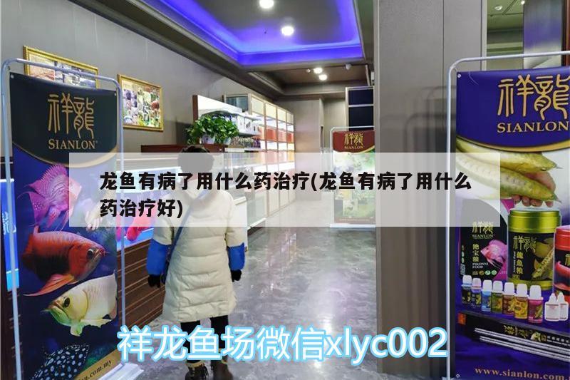 鱼缸过滤材料哪些比较好用 过滤材料什么好