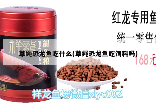 珍珠虎怎么分公母：珍珠虎怎么分公母视频 观赏鱼 第2张