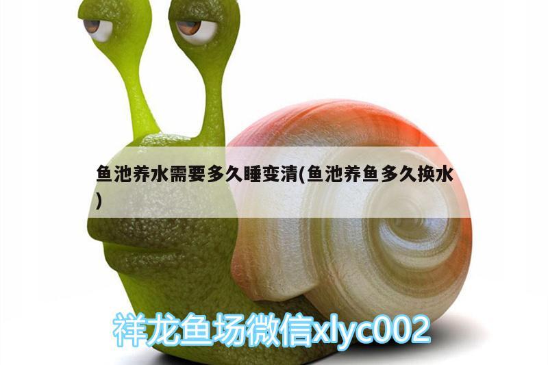 龙鱼用什么灯照比较好养活（龙鱼要用什么灯光养比较好） 水族灯（鱼缸灯） 第3张