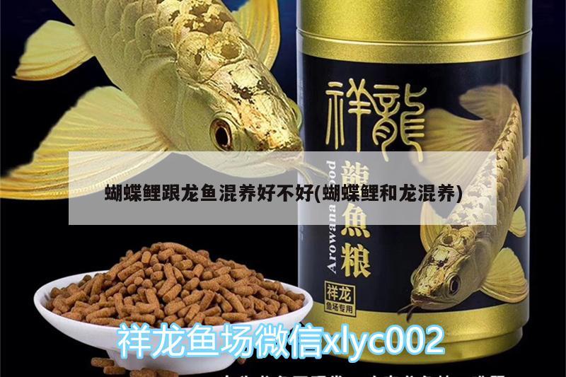 孔雀鱼有多少个品种，孔雀鱼什么品种好养又耐活 观赏鱼 第2张