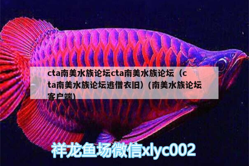 cta南美水族论坛cta南美水族论坛（cta南美水族论坛逃僧衣旧）(南美水族论坛客户端)