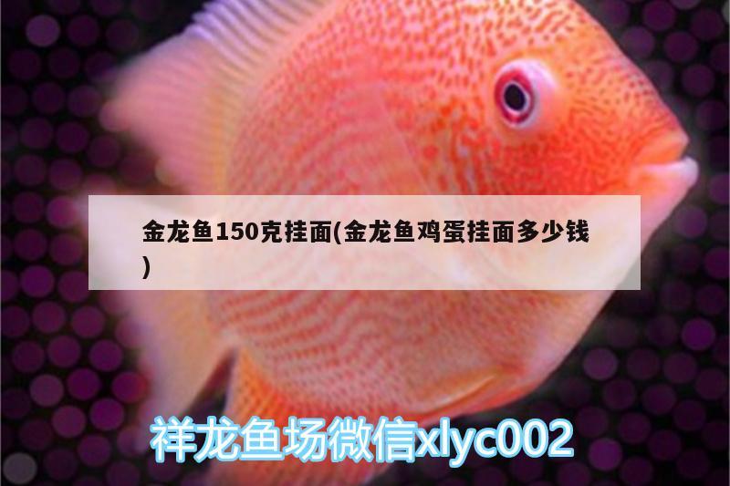 金龙鱼150克挂面(金龙鱼鸡蛋挂面多少钱)