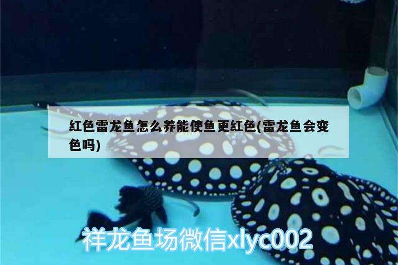 庄河市华奇水族店 全国水族馆企业名录 第2张