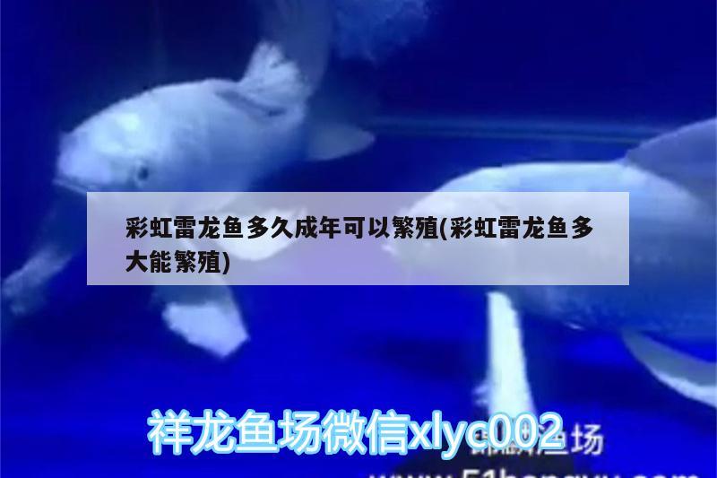 鱼缸里水浑浊了怎么办视频教程（鱼缸水浑浊原因和解决方案视频）