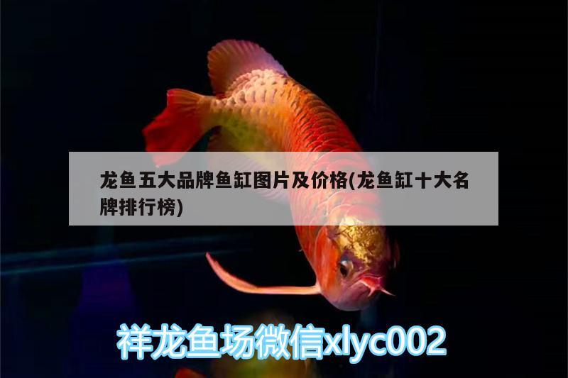 龙鱼五大品牌鱼缸图片及价格(龙鱼缸十大名牌排行榜) 水族灯（鱼缸灯）