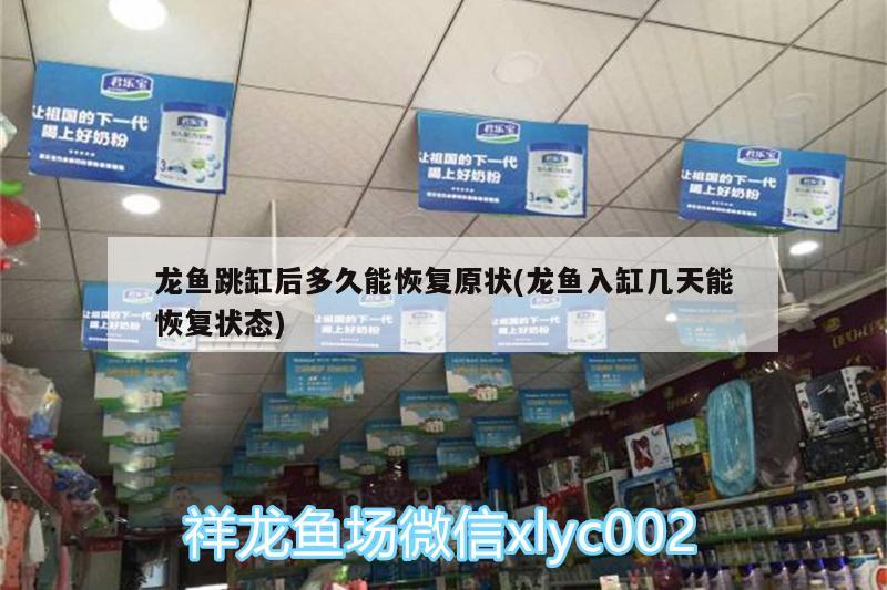 舟山水族批发市场都在哪里？（舟山水族批发市场都在哪里啊） 养鱼知识 第3张