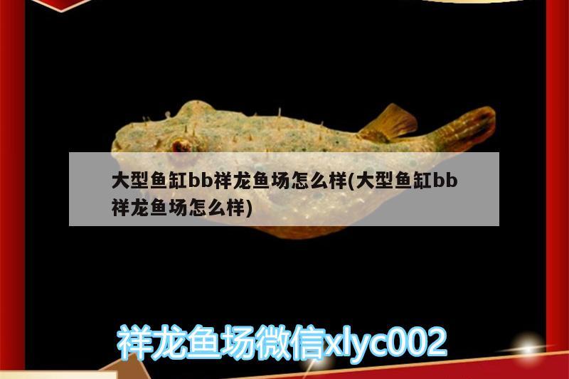 鱼缸里水浑浊怎么处理好视频（儿媳妇无意中发现公公是自己最尊重的头条大）