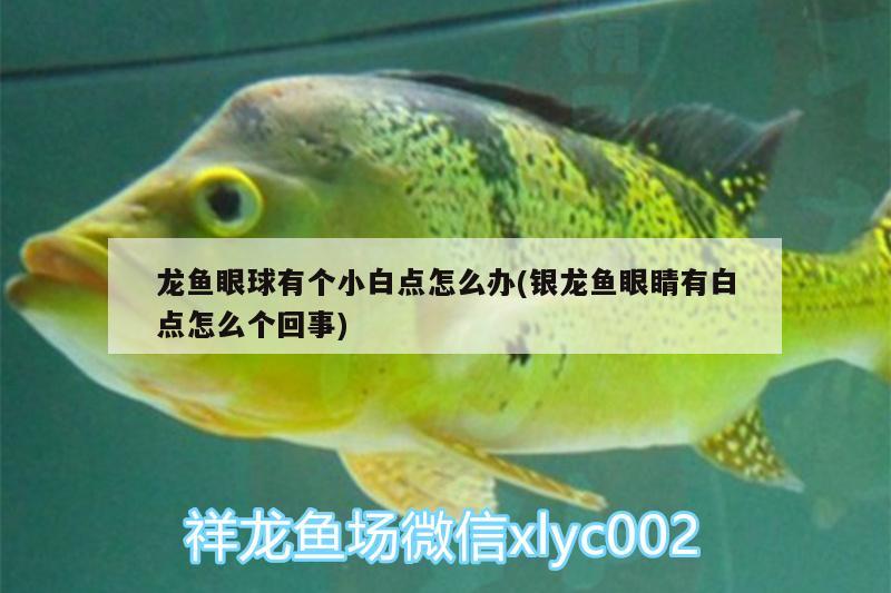 南岗区滨睿水族器材销售店 全国水族馆企业名录 第3张