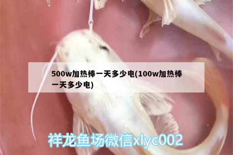 500w加热棒一天多少电(100w加热棒一天多少电) 飞凤鱼