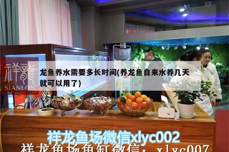 龙鱼养水需要多长时间(养龙鱼自来水养几天就可以用了) 广州水族批发市场