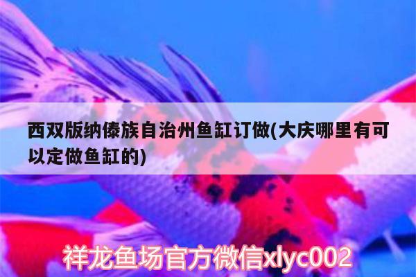 金鱼怎样颜色更鲜艳(金鱼怎么养颜色更好看) 观赏鱼 第1张