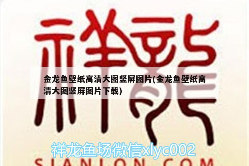 金龙鱼壁纸高清大图竖屏图片(金龙鱼壁纸高清大图竖屏图片下载) 斑马狗头鱼