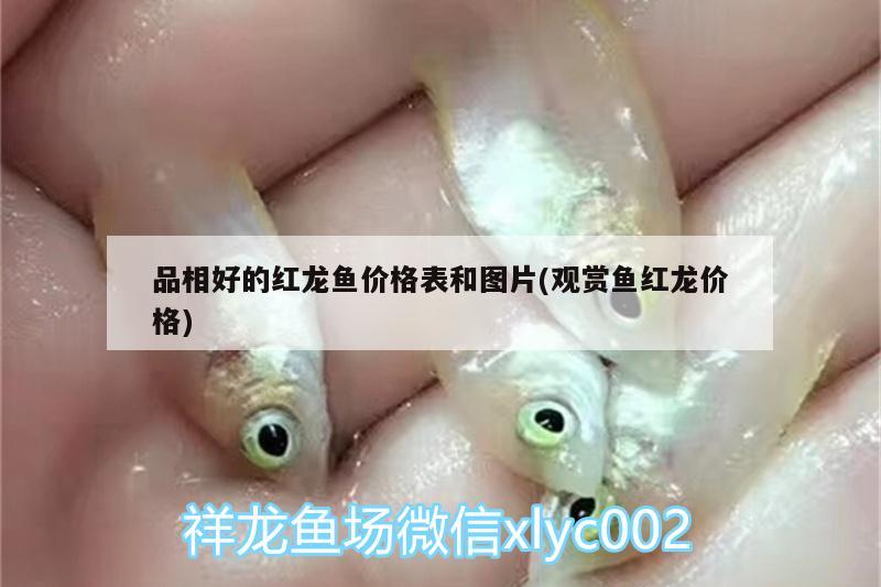 鱼缸自制洗沙器视频教程：diy鱼缸洗沙器 自制