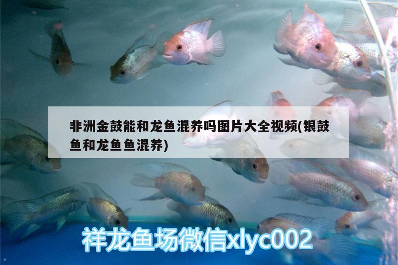 乌兰浩特市常青园水果肉菜自选店 全国水族馆企业名录 第1张