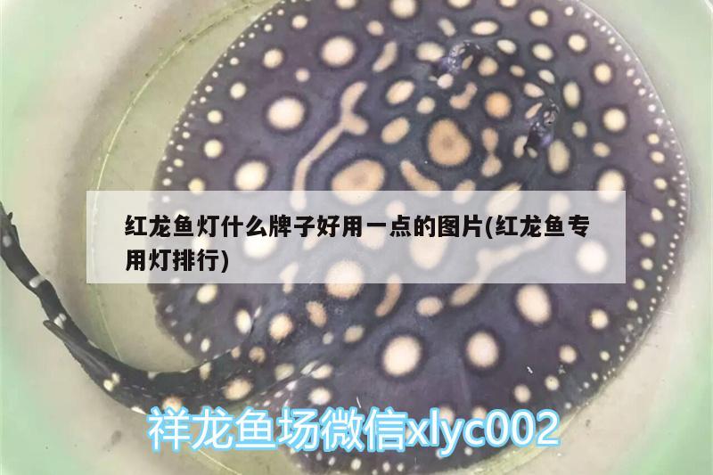 鱼缸开着灯好还是不开灯好（鱼缸里开灯好还是不开灯好） 其他品牌鱼缸 第2张