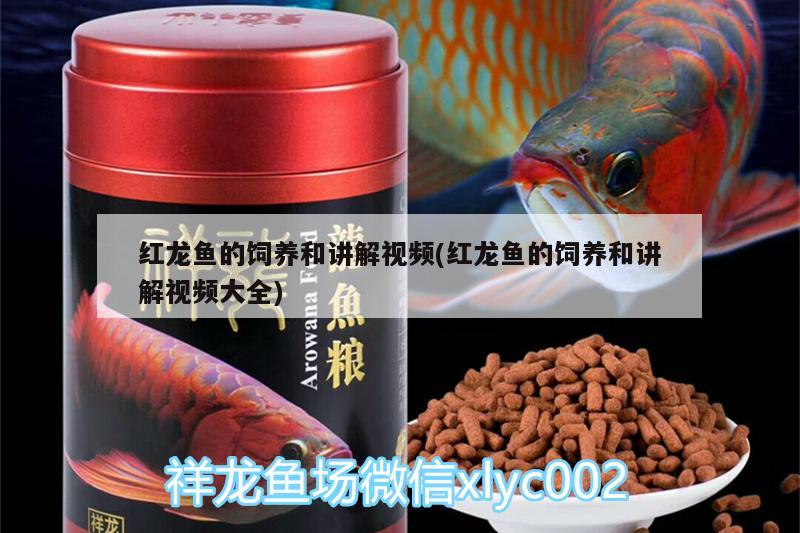 鱼缸开着灯好还是不开灯好（鱼缸里开灯好还是不开灯好） 其他品牌鱼缸 第1张