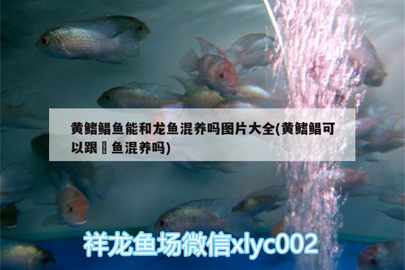 洛阳鱼缸回收公司有哪些地方电话洛阳鱼缸回收公司的服务内容，洛阳鱼缸回收公司有哪些地方电话