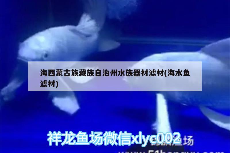 海西蒙古族藏族自治州水族器材滤材(海水鱼滤材)