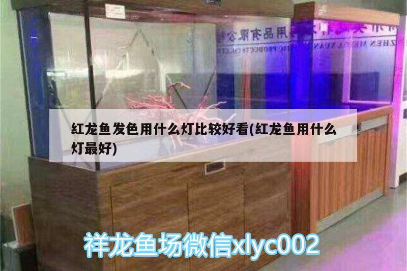 鱼缸玻璃修复液管用吗知乎 鱼缸玻璃修复液好使不 养鱼的好处 第3张