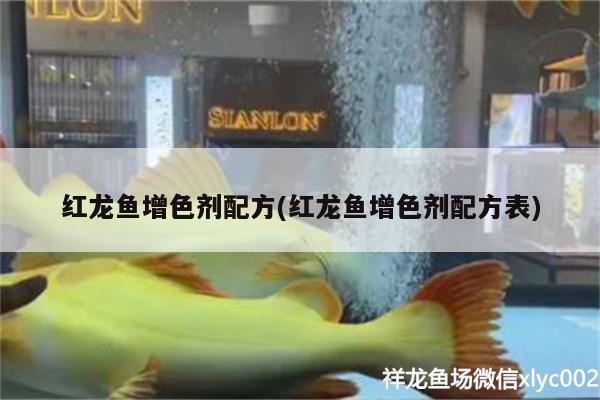 鱼缸氧气泵安装位置要求，鱼缸氧气泵正确使用方法 充氧泵 第2张